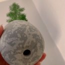 메이의보울 이미지