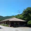 참나무쟁이 이미지