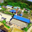 부흥태양광발전소 이미지