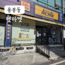 광주24시애견용품점 펫마켓 광주점 분양부터 용품까지 한 번에 해결