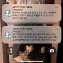 파스타모텔 - 창원시 마산합포구 오동동1길 14 | [서유럽 패키지/이탈리아_1] 스위스 국경을 넘어 현지 병맥주와 파스타 마르게리따, 호텔 후기까지