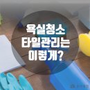 초아클린 이미지
