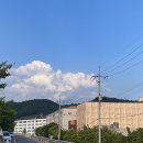 봉화문구사 | Aug_내 여름, 폭염주의보🥵
