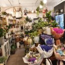 대곡플라워 이미지