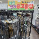 골드PC | 천안파크골프샵 한정판 혼마 5스타 골드클래식 파크골프채 효도선물 후기