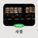 월드컵로 53 다사랑 치킨피자 앞 | [망원 맛집] 데이트하기 딱 좋은 분위기 술집, 사꽃