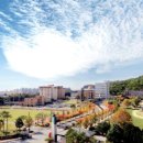 조선대학교 보건대학원 이미지