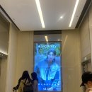 굿모닝작은도서관 | 20. 나그네의 상해 하늘 일기🌤｜구베이 알디, 유니클로 윈드블럭 블루종 바람막이 언박싱 후기