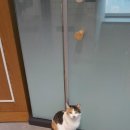 노엘동물병원 이미지