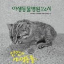 와일드 동물병원 이미지