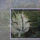 푸른하늘주유소 이미지