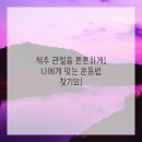 척추가 중심 이미지