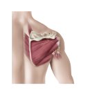 BNA FITNESS 이미지