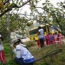 세인트폴어린이집 이미지