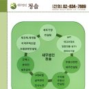 세무법인청솔 이미지