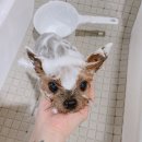 반야시스터 이미지