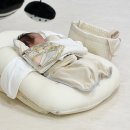 은세세탁 | 엔젤앤비 역방쿠 높이조절 실사용 후기 둘째 수유하며 느낀 솔직 장단점