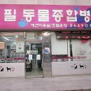 양천종합동물병원 이미지