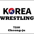 팀레슬라이킥