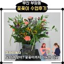 [02/03] 캘리그라피 취미반 | 부암동 동화랑놀자 │ 꽃과 책, 사람이 만나는 문화 사랑방