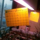 전원농약사 이미지