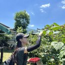 서울산마트 | 울주군 산딸기 따기 체험 후기 🍓 아이와 가볼만한 곳 추천