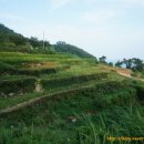 가천관광안내소 이미지