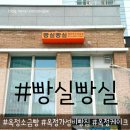 빵실빵실 | 옥정 빵집 다양한 소금빵이 유명한 빵실빵실 포장후기.