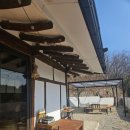 스테이울진 | 울진 숙소 추천, 애견동반 독채 숙소 스테이울진 내돈내산 후기