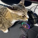 해커 PC방 이미지