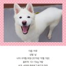 마루마리 이미지