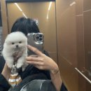 다우동물병원 이미지