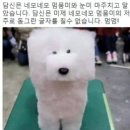 네모네모 이미지