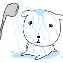 루체에스테틱