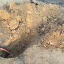 지선농장 이미지