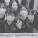 천원나라 이미지