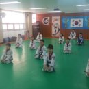 비전 태권스쿨 이미지