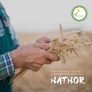 농업회사법인주식회사바른 이미지