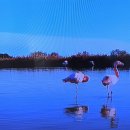 프로방스 이미지