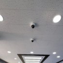 신우당구클럽 이미지