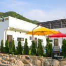 골드미펜션 이미지