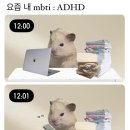 7주차 일상포토덤프