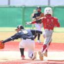 세종제1야구장 이미지