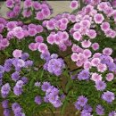 (주)진성상사 이미지