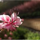 신흥근린공원 이미지