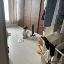 아이언어발달의원 | 부천에서 시흥까지 영유아 검진 다녀온 후기(3차) / 발달 선생님 있는 명소아청소년과의원