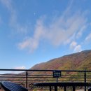 도래재자연휴양림(밀양) 이미지