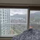 덕진 거제의봄 프리미엄 | 거제아파트유리창청소 덕진의 봄 후기, 전후 비교로 느껴진 큰 변화