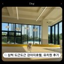 도근도근 | 삼척애견호텔 강아지유치원 도근도근, 강아지 맡길 곳 고민 끝!