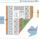 이더펠리체 이미지